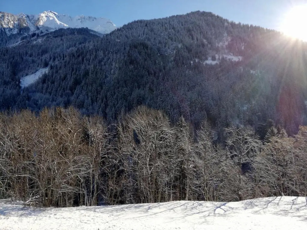 Appartement Champagny-en-Vanoise, 2 pièces, 4 personnes - FR-1-638-10