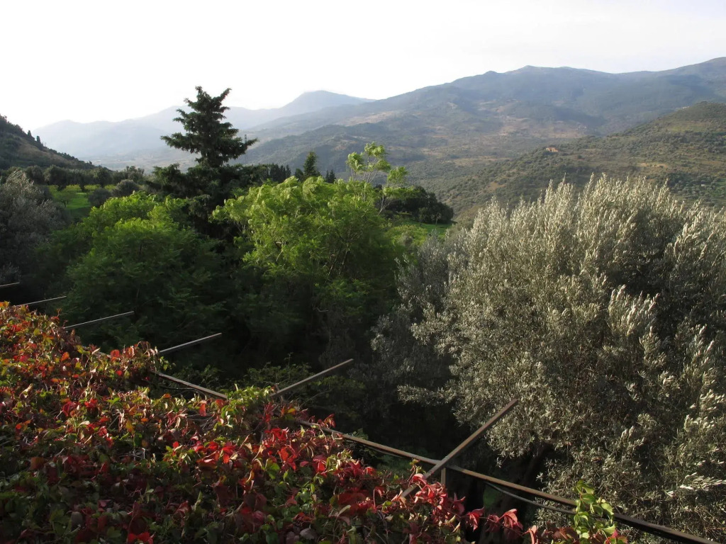 Casa Migliaca