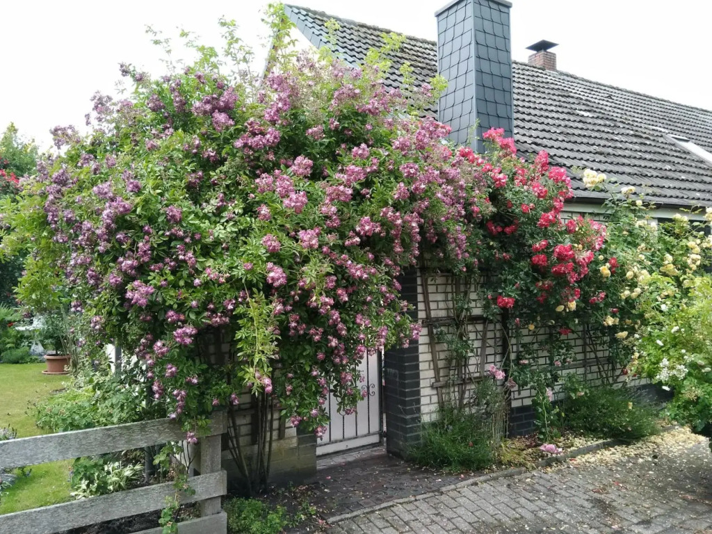 Haus Sielblick
