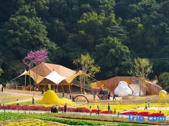 Tianren Landscape·True Meaning Tent