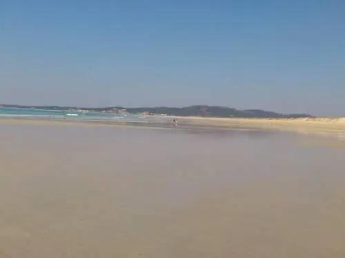 9 Olas