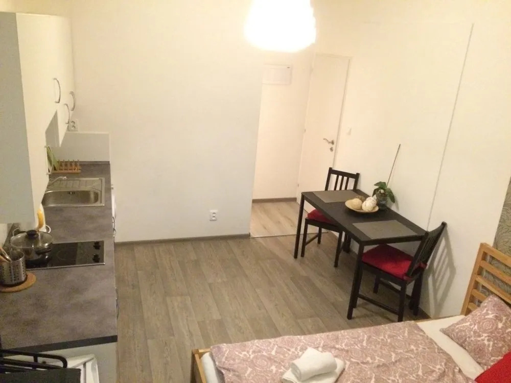 Vita Nejedleho apartments