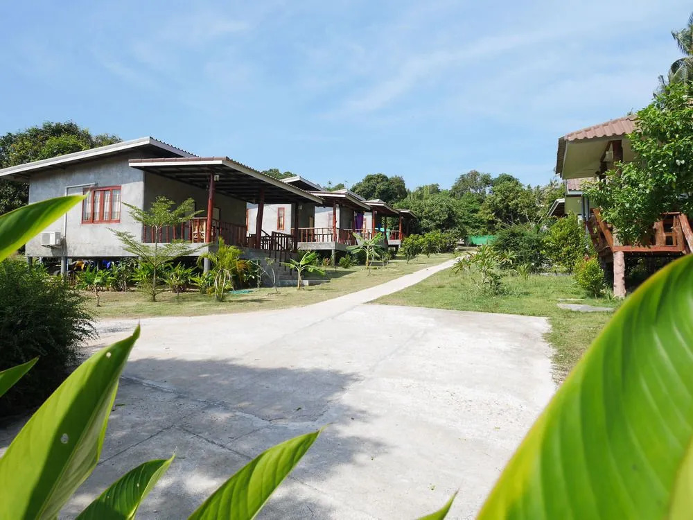 Phangan P10
