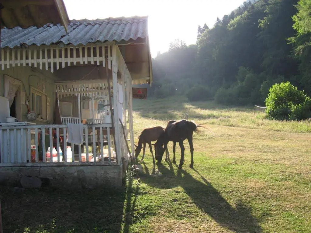 Hlebna Bungalows