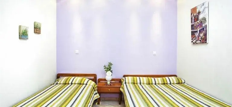 Lemon Garden