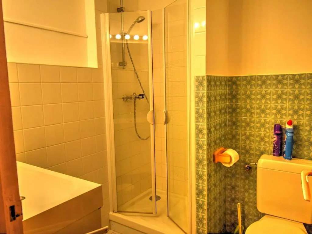 Appartement Morzine, 1 pièce, 4 personnes - FR-1-524-69