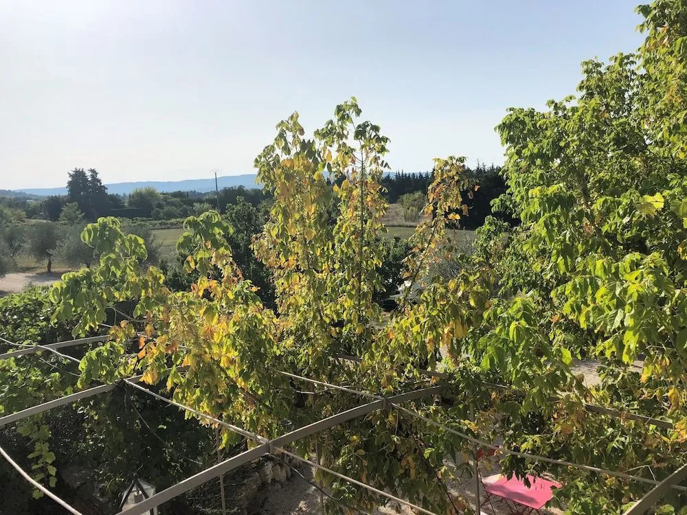 Le Vieux Bounias