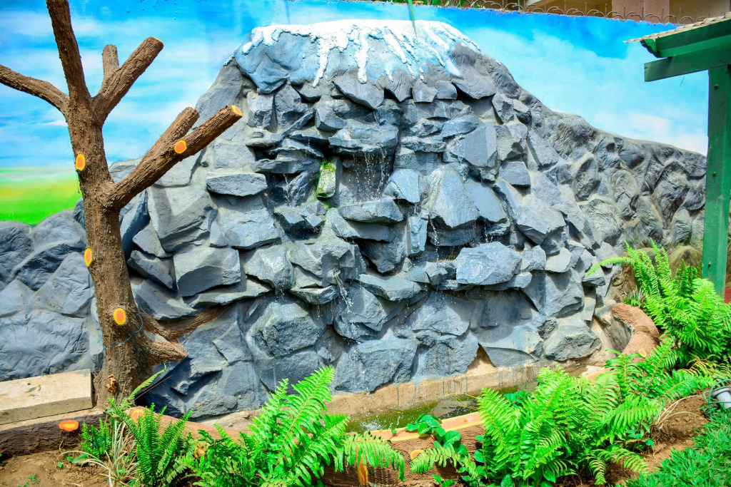 Crest Safari Lodge
