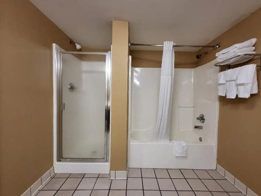 Microtel Inn & Suites by Wyndham Starkville