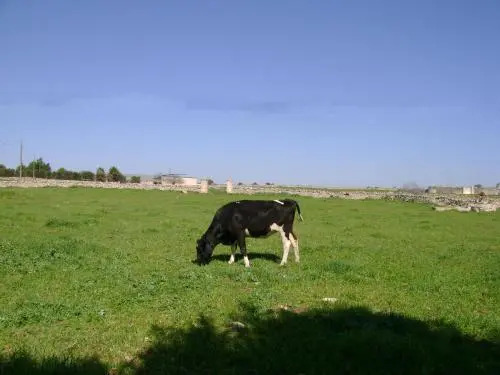 Masseria Cassiere