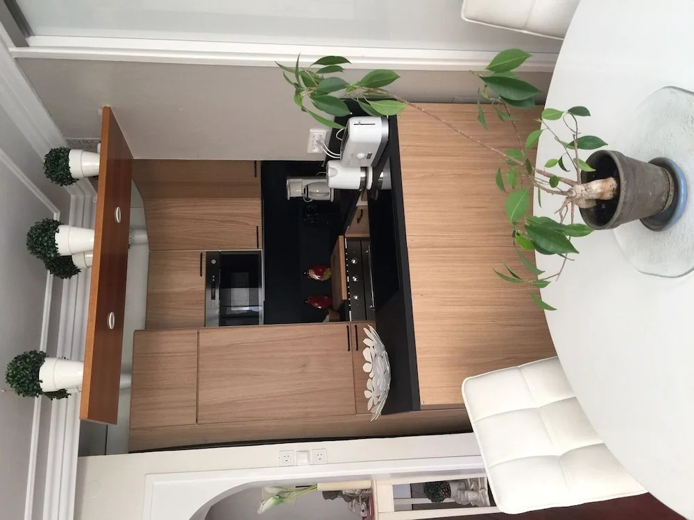 Location Sweet Home Paris 12 Terrasse Verdure 55m 2 pièces