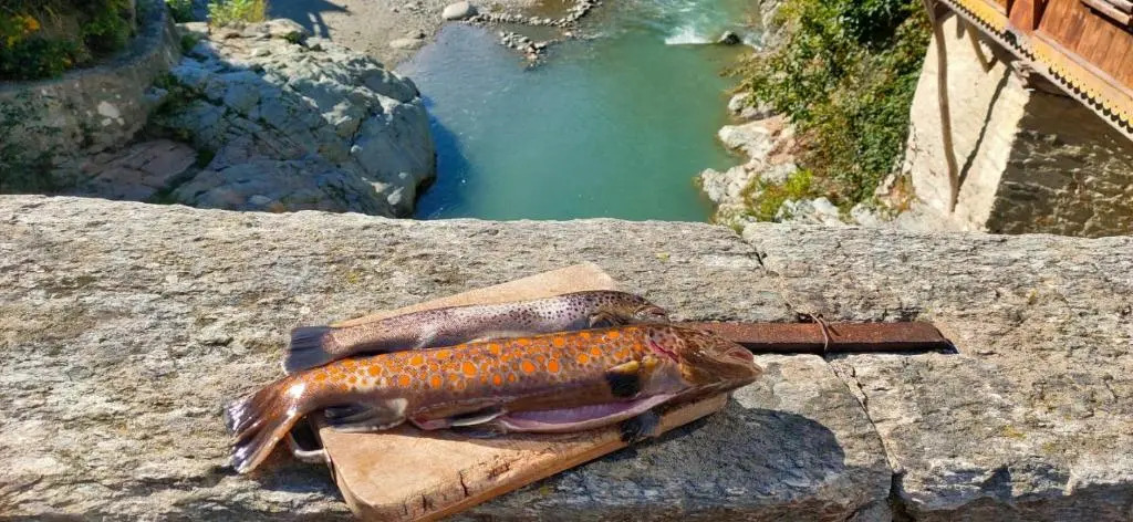 River And Mounts