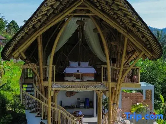 Wiwaka Bamboo House