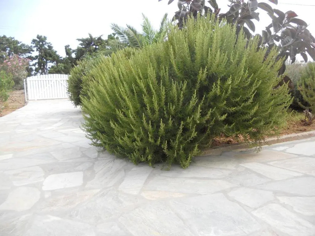 Villa Kampos Paros