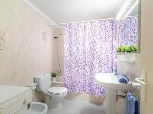 Apartment Sant Maurici 208