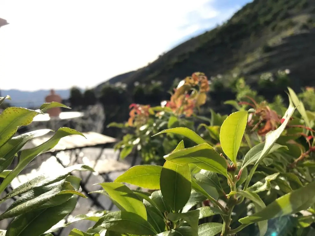 Borgo Manca Suite