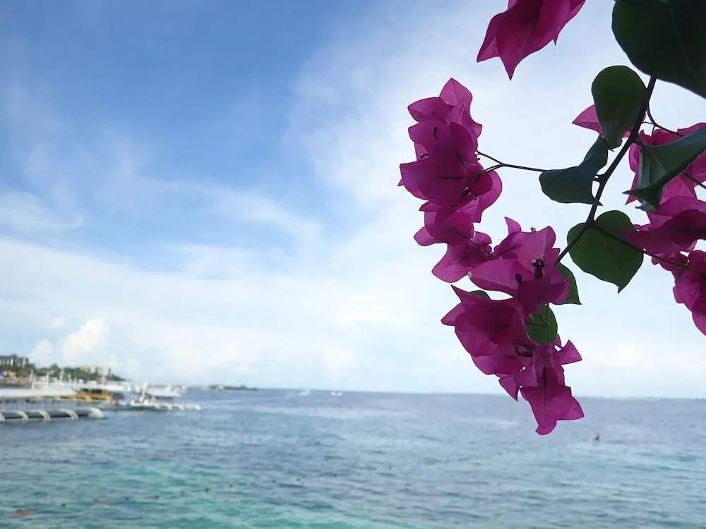 Nost Cottages at Club Kon-Tiki