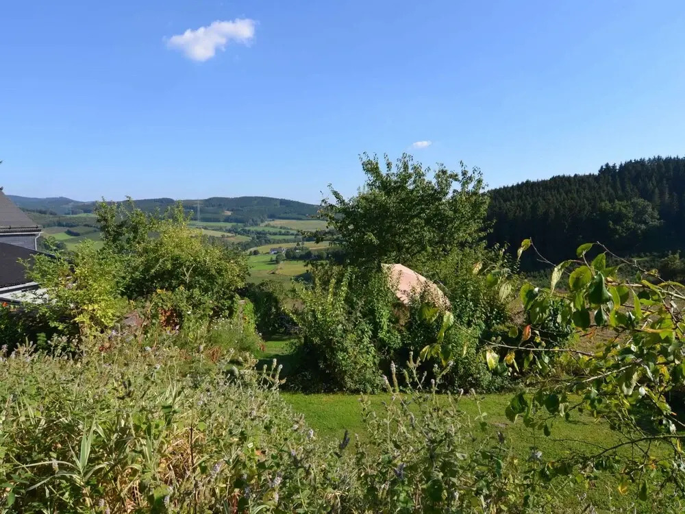 Ruhige Wohnung im Sauerland mit Terrasse