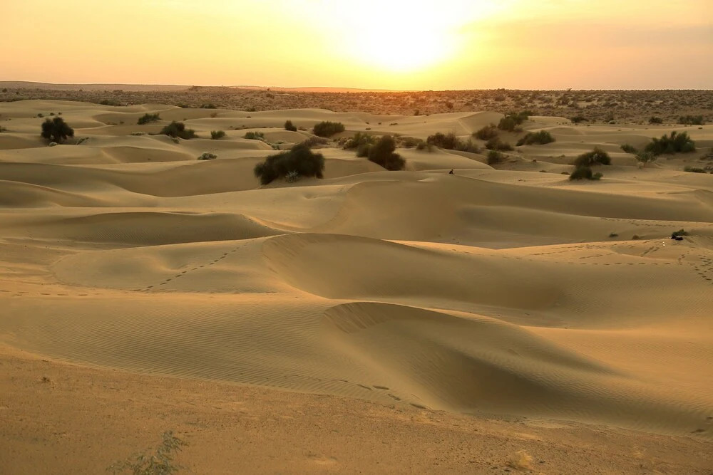 Shriram Desert Camp Jaisalmer