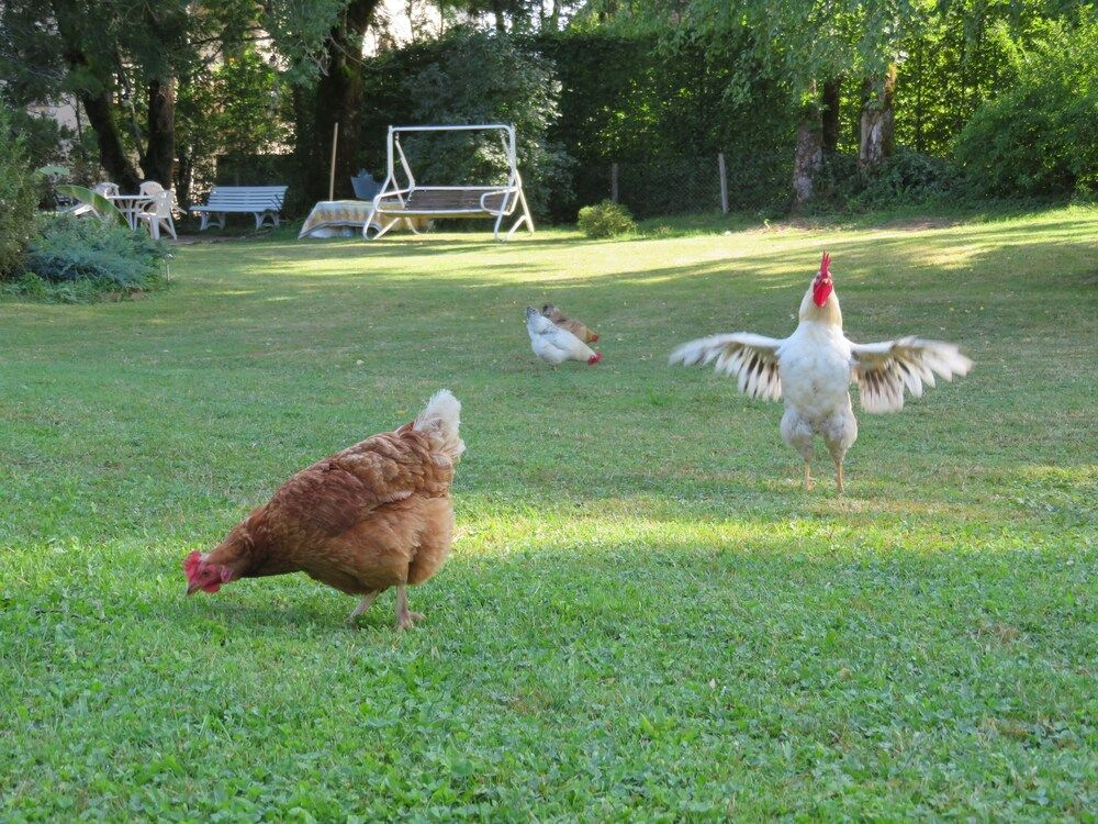 Les jardins darmance