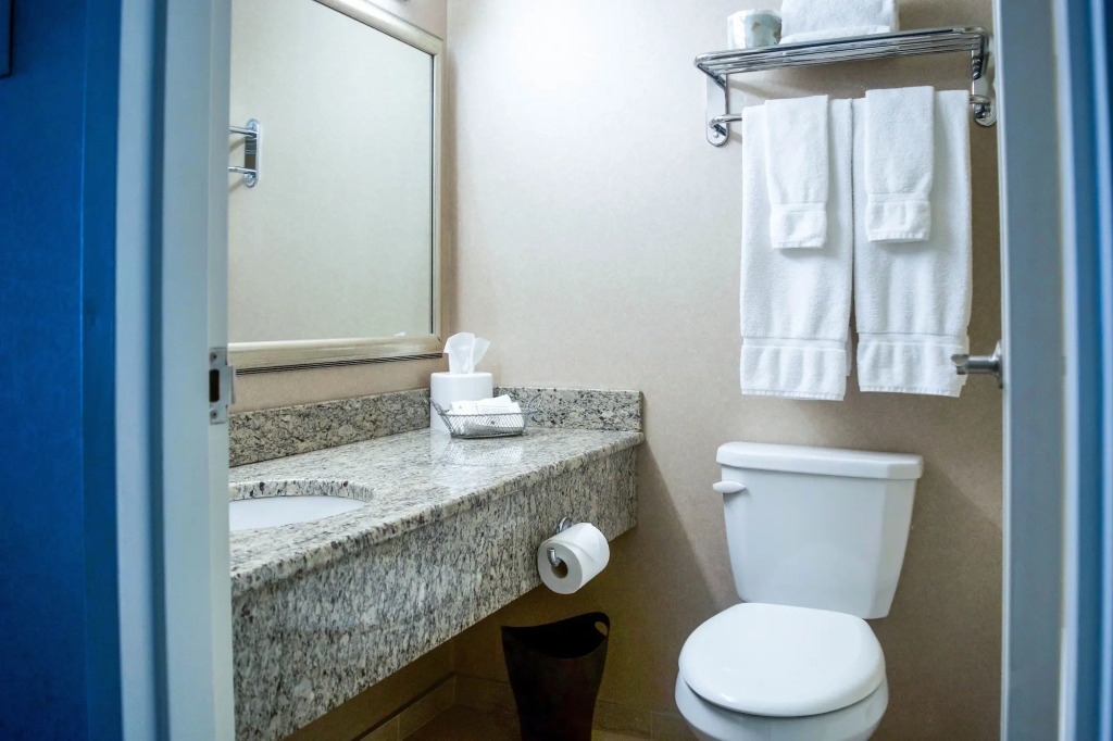 Chateau Victoria Hotel & Suites