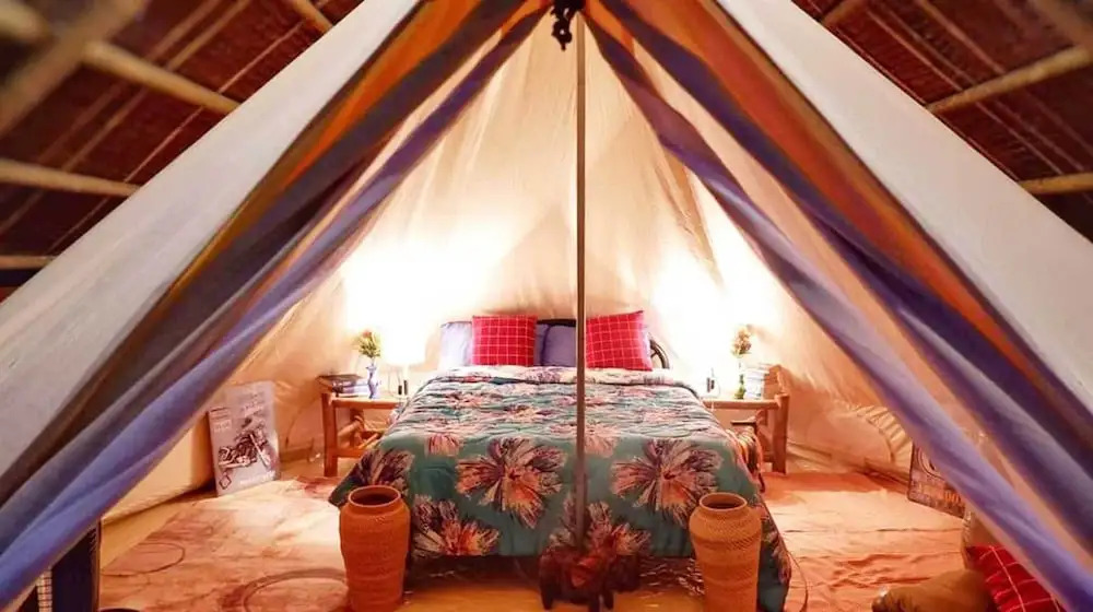 Eco-Treehouse Glamping Services