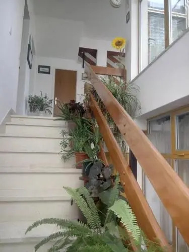 Apartmani Bruno