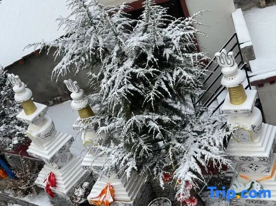 Snow Mountain Home · Tibetan Culture Photography and Food Experience Homestay