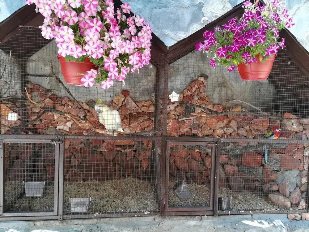 Li-Em Fauna Hostel