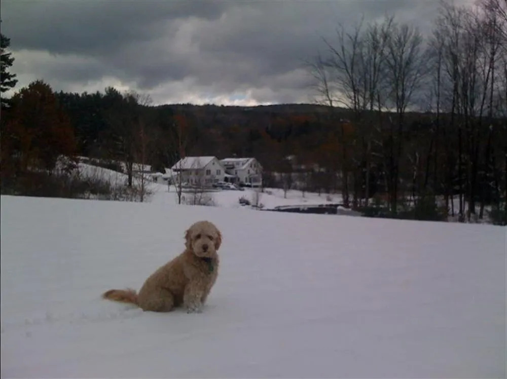 The Trumbull House Bed and Breakfast