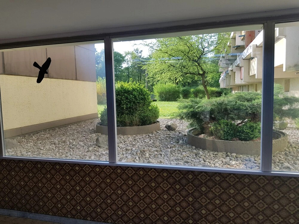 UG Neubau City Wohnung (optional Pool+Gym+2tes Bad extra buchbar)
