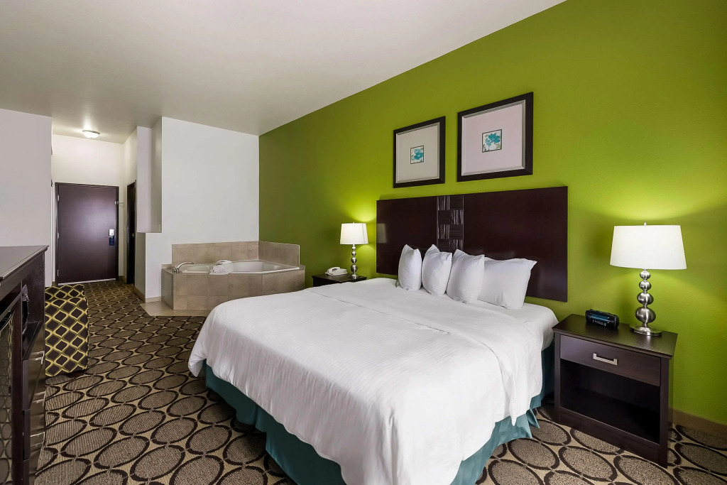 Best Western Douglas Inn & Suites