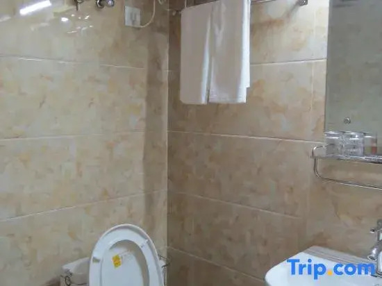 Faku Ecodo Express Hotel, Part II