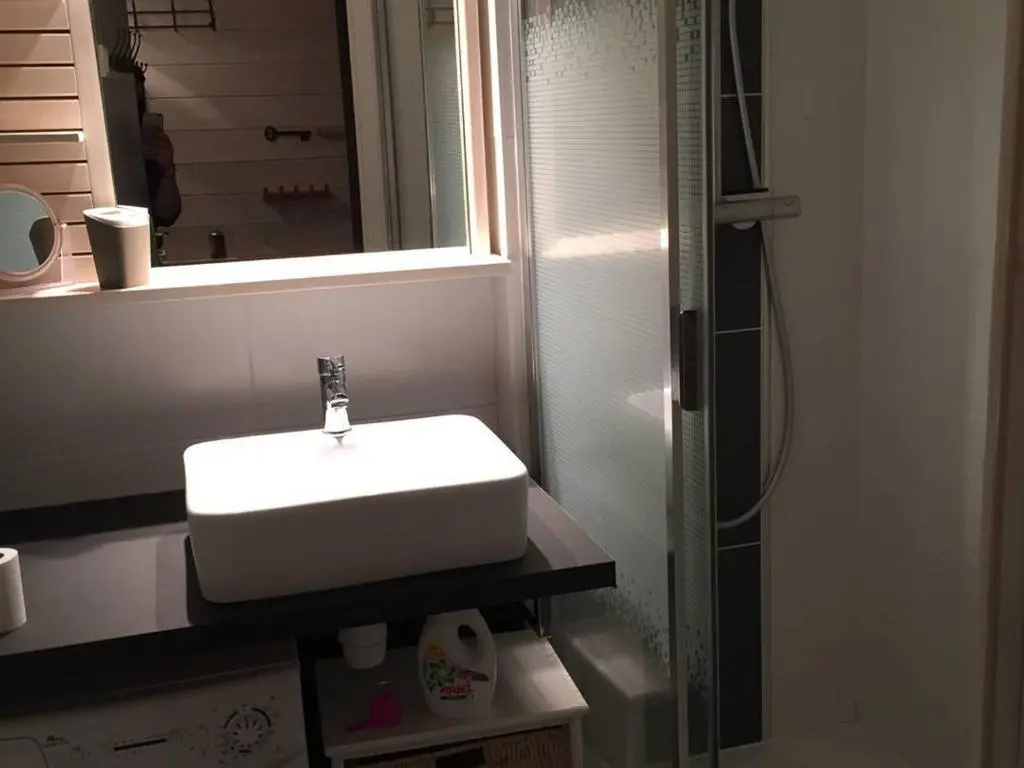 Studio Arette, 1 pièce, 4 personnes - FR-1-602-48