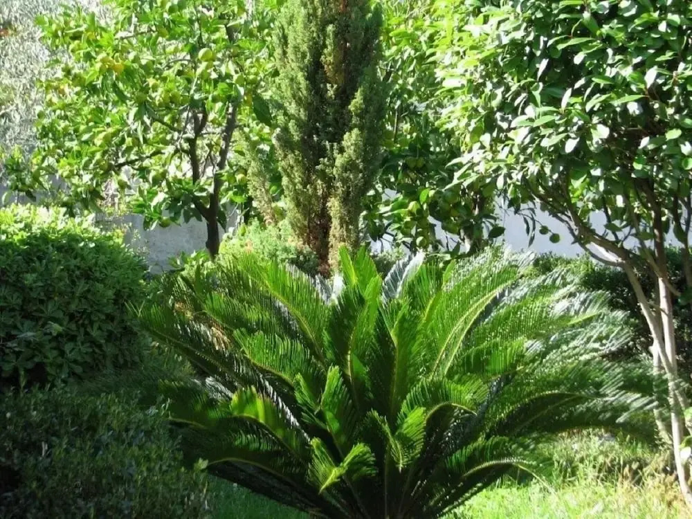 Davorka - 50m From the sea - A2