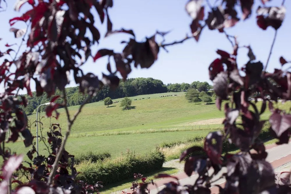 Vakantiewoningen Ons Krijtland