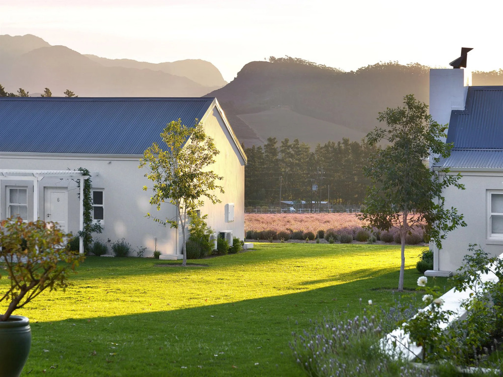 Lavender Farm Boutique Guest House