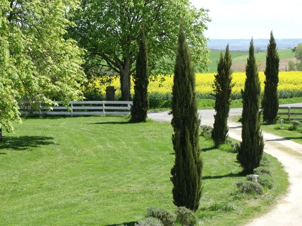 Gîte Chiennie