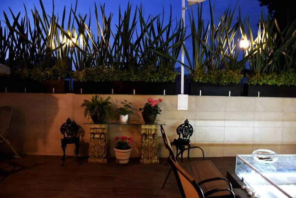 Maria Felix. Departamento de 1 habitación en Ciudad de México