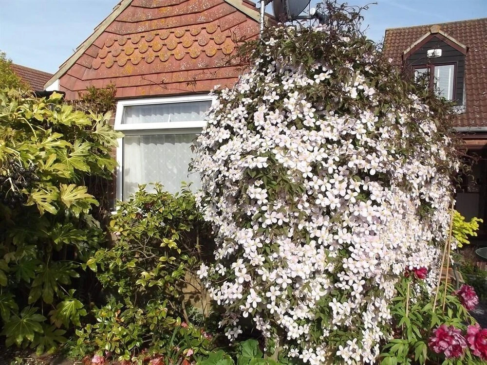 March Cottage Bed And Breakfast