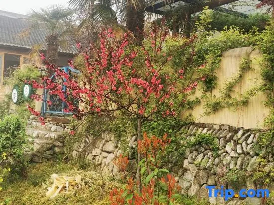 Yangpo Yard