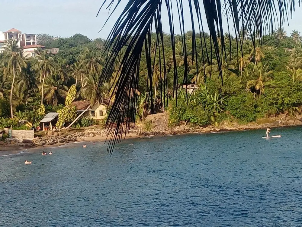 Surf Paradise