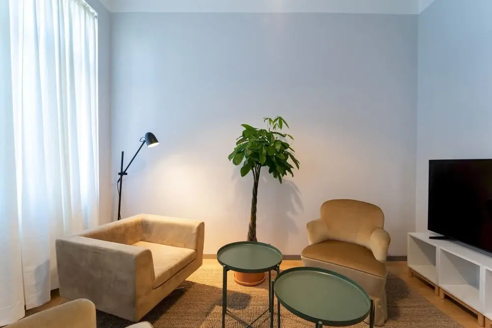 Beautiful and Sunny 2bdr Apartment