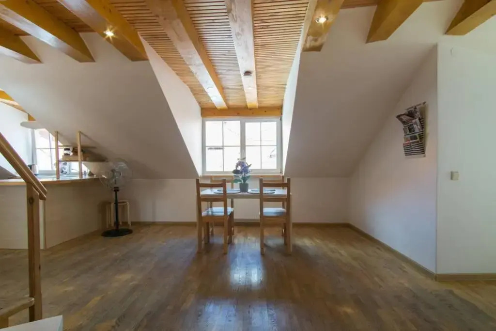 Šv. Mykolo Rooftop Apartment & Sauna