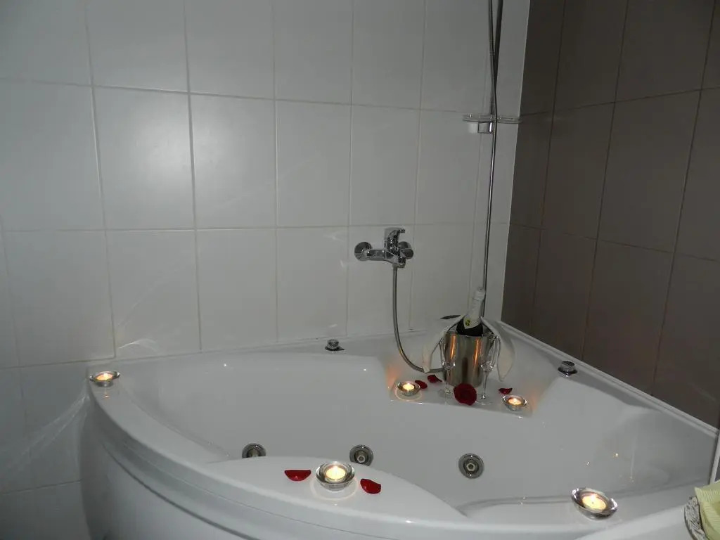 Hotel Metsis