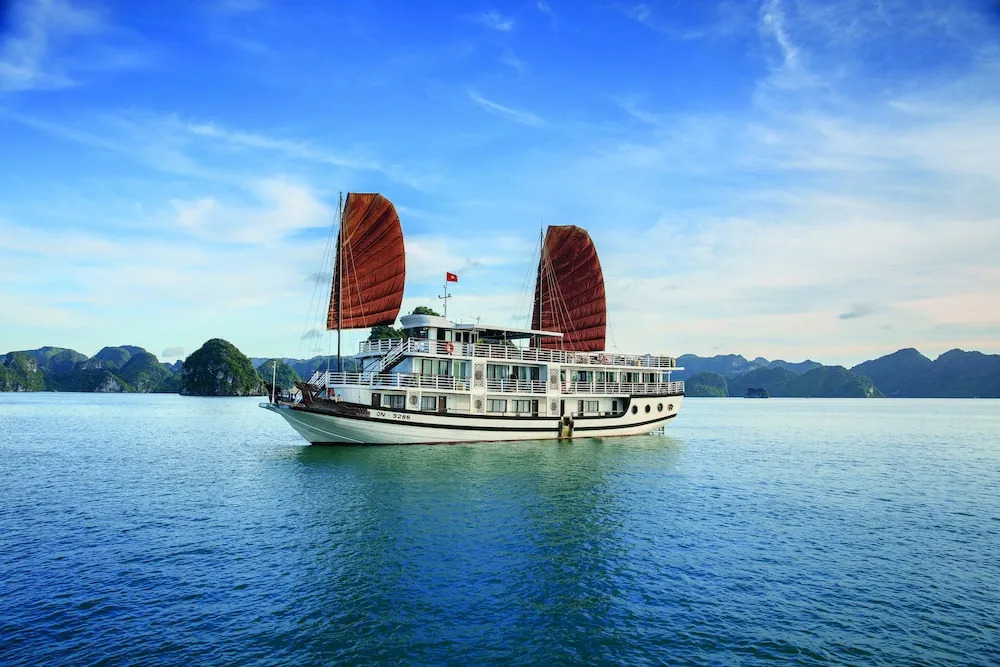 Apricot Premium Cruise
