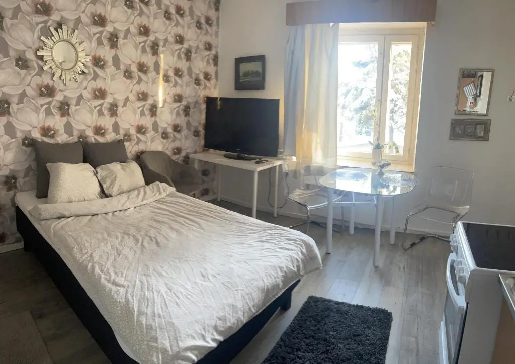 Yksiö 1,5 km Kupittaalta / 3 km Turun keskustasta