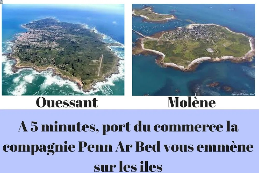 Appart Brest City 5