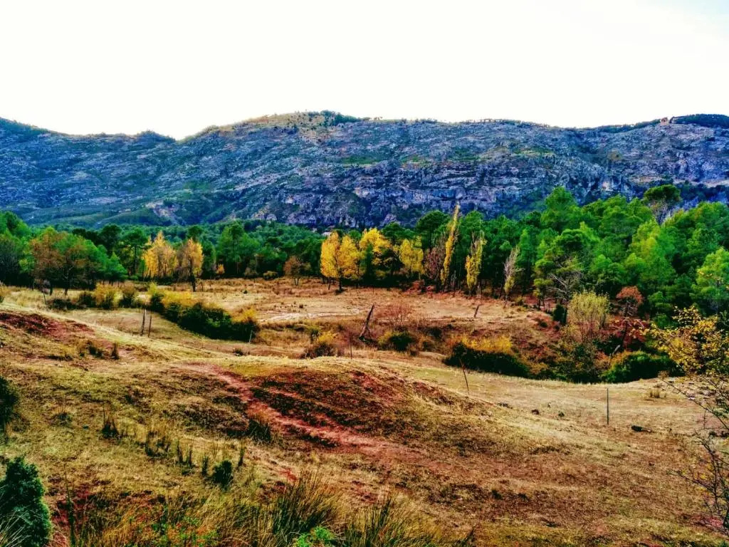 Fuente del Ciervo 1