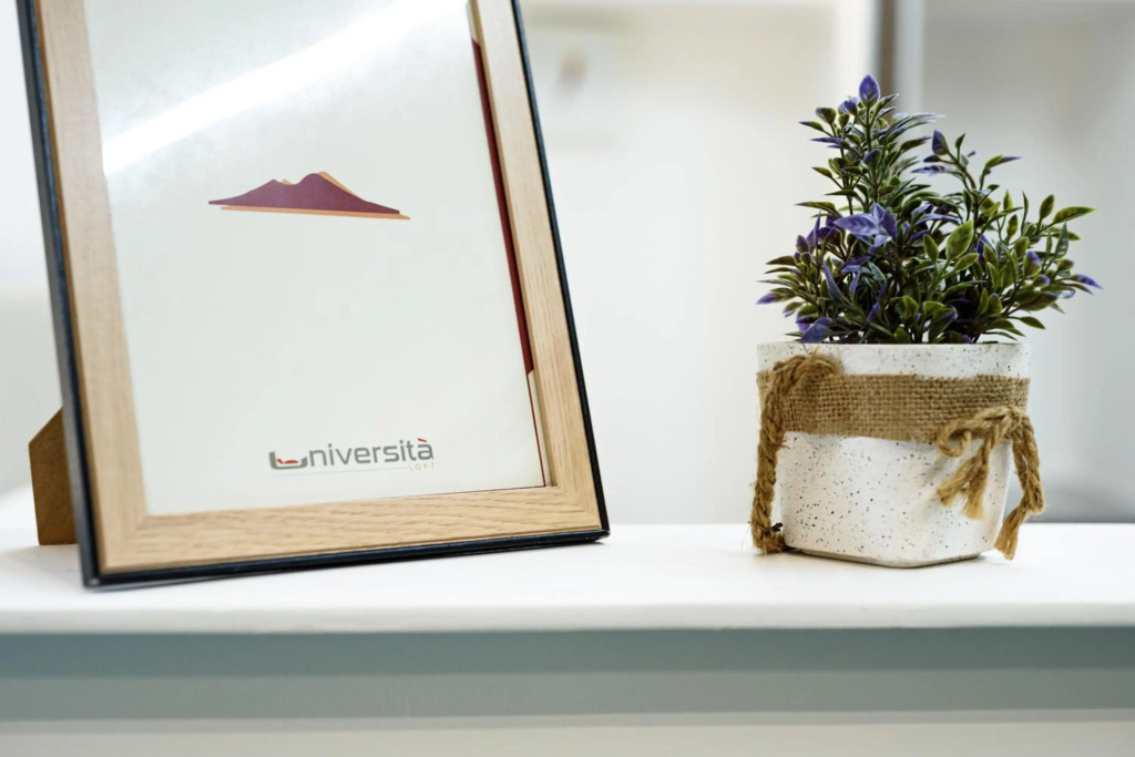 Loft Universita